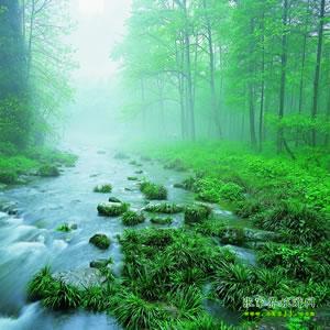【純玩散拼尊享系列3】張家界、天子山、袁家界、黃龍洞、鳳凰三晚四日游