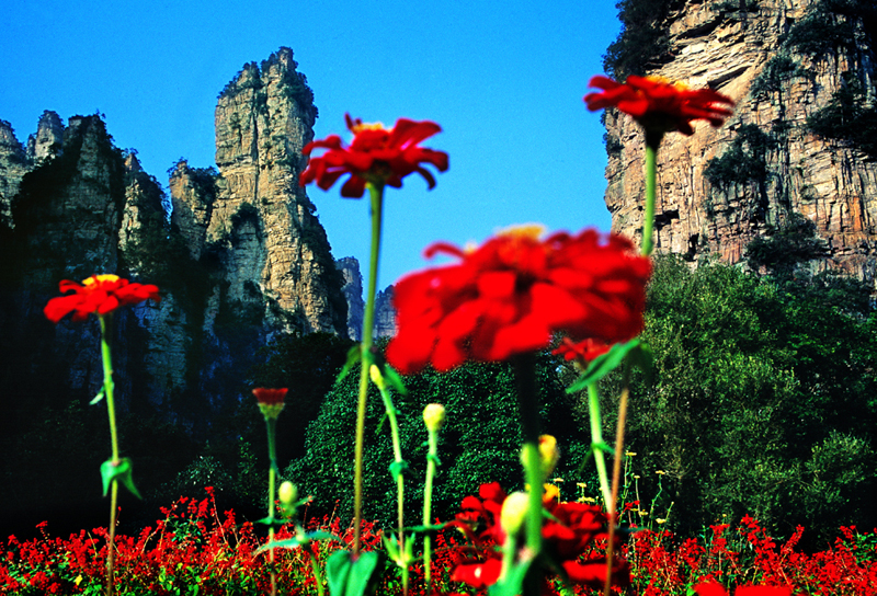LF線：張家界國(guó)家森林公園、猛洞河漂流、鳳凰古城純玩自助五日游
